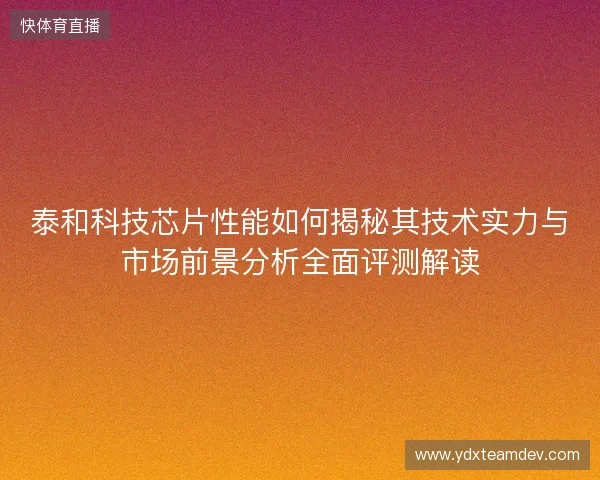 泰和科技芯片性能如何揭秘其技术实力与市场前景分析全面评测解读